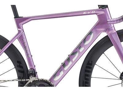 Gusto Cobra  Evo DB Elite Ultra