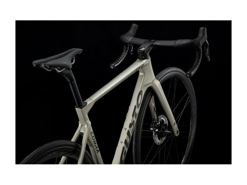 Gusto Cobra Evo Sport TE click to zoom image