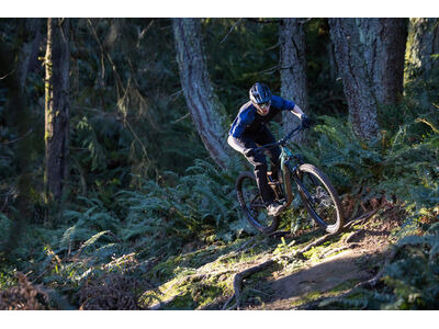 Giant Reign 2 Mineral Green click to zoom image