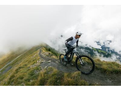 Giant Reign Advanced E+ 1 Mercury / Carbon Smoke click to zoom image