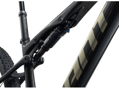 Giant Anthem Advanced SL 0 Raw Carbon click to zoom image