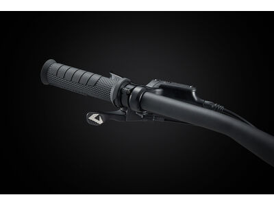 Giant Faith click to zoom image