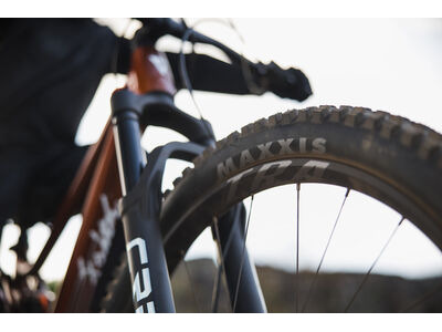 Giant Faith click to zoom image