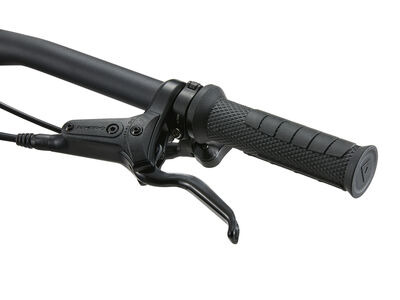 Giant Faith click to zoom image