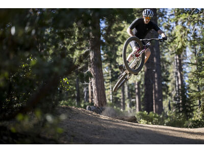 Giant Anthem Advanced SL SE White / Carbon click to zoom image