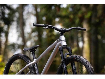 Giant STP 26 Quicksilver click to zoom image