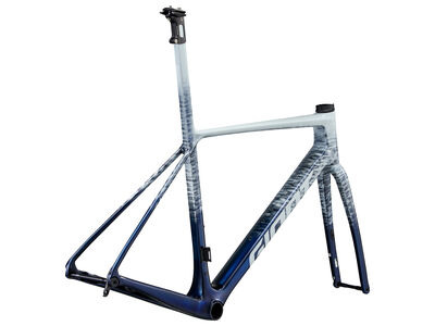 Giant TCR Advanced SL Frameset click to zoom image