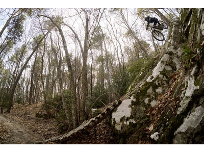 Giant Stance E+ 1 click to zoom image