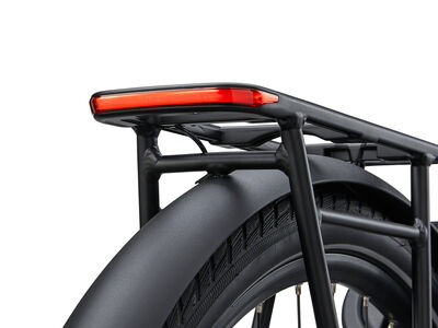 Giant NewTour E+ 3 DD Kelp Forest click to zoom image