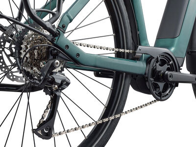 Giant NewTour E+ 3 LST Kelp Forest click to zoom image