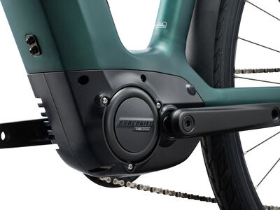 Giant NewTour E+ 3 LST Kelp Forest click to zoom image