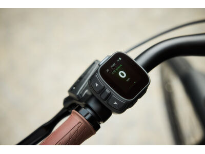 LIV Allure E+ 2 click to zoom image