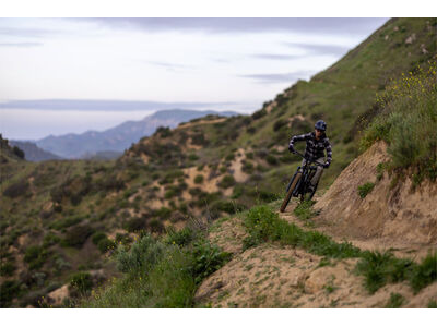 LIV Intrigue X Advanced 1 click to zoom image