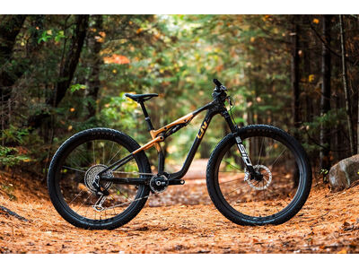 LIV Pique Advanced SL 0 Raw Carbon / Steampunk click to zoom image