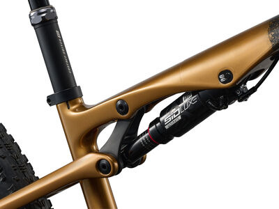 LIV Pique Advanced SL 0 Raw Carbon / Steampunk click to zoom image