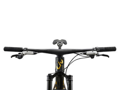 LIV Pique Advanced SL 0 Raw Carbon / Steampunk click to zoom image