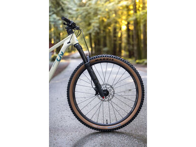 LIV Embolden Pale Moss click to zoom image