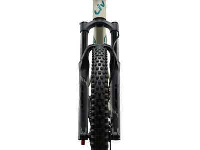 LIV Embolden Pale Moss click to zoom image